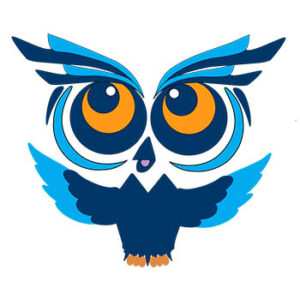 Wise Up Owl encourages teens to learn personal finance