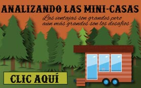 Infografía: Las Mini Casas