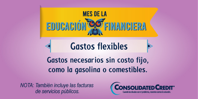 Gastos necesarios sin costo fijo, como la gasolina o comestibles.