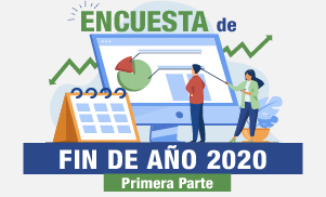 Encuesta de fin de año 2020