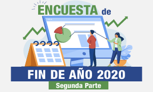 Encuesta de fin de año 2020