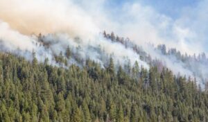 Consecuencias económicas de los incendios en California deja a muchos con un futuro incierto