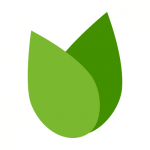 BadCredit.org recommends Consolidated Credit