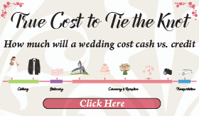 Goes to page displaying info graphic on the real wedding budget cost with interest added